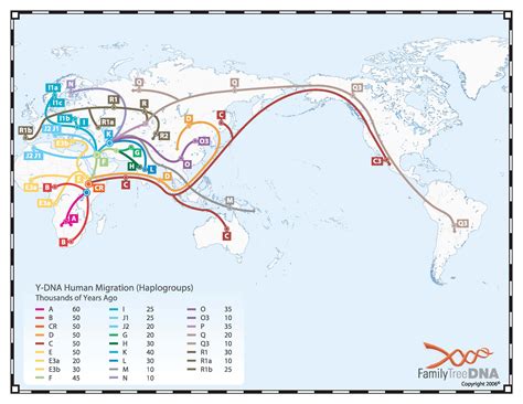 Ep252 haplogroup. Things To Know About Ep252 haplogroup. 